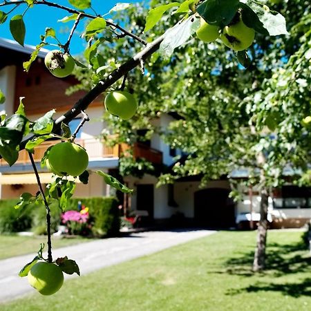Haus Obermoser Dellach im Drautal 外观 照片