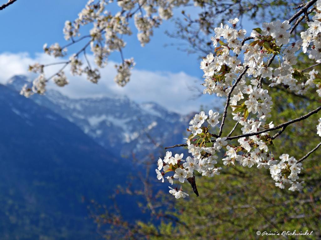Haus Obermoser Dellach im Drautal 外观 照片